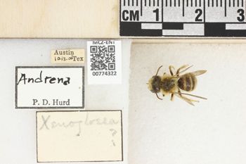 Media type: image;   Entomology 774322 Aspect: Labels